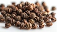 Kratom Plant Seed All You Need To Know