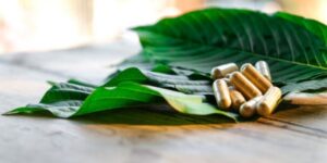 gold maeng da kratom