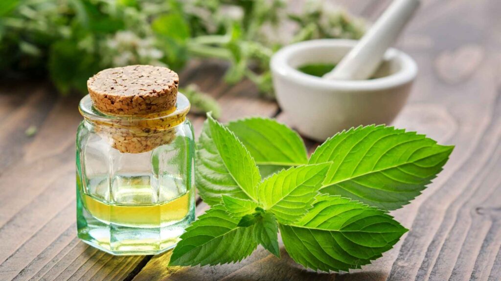 kratom vs kanna