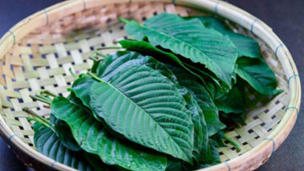 kratom side effects