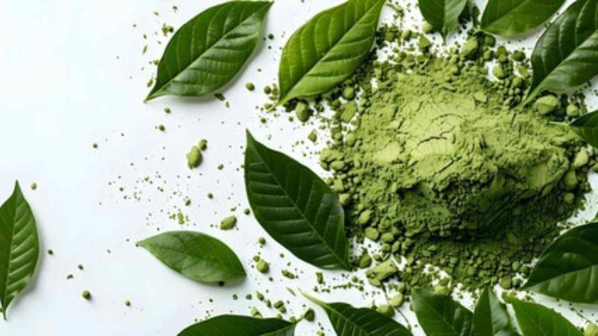 bentuangie kratom strain